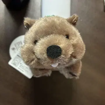 왈라비 봉제 인형 스트랩 포함