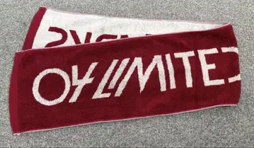 04 Limited Sazabys 머플러 타월