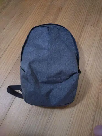다케오 키쿠치 그레이 백팩