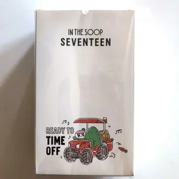 SEVENTEEN IN THE SOOP 타월