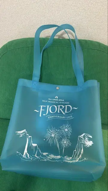 Mrs. GREEN APPLE FJORD 클리어 토트백