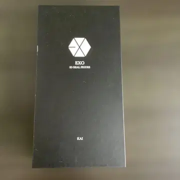 EXO 카이 3D 피규어