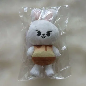 StrayKids leebit 백참