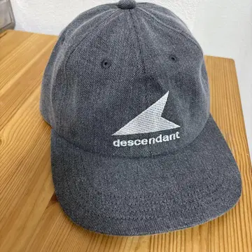 descendant 캡 그레이