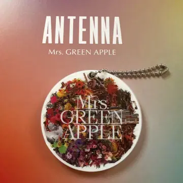 Mrs. GREEN APPLE 슬라이드 거울