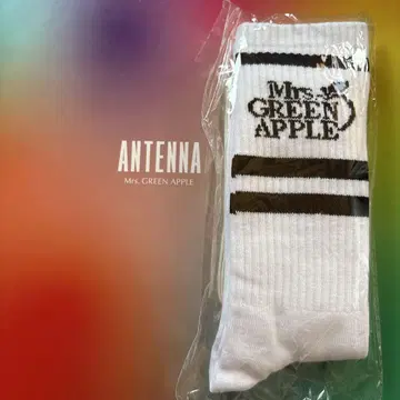 Mrs. GREEN APPLE 슈레이스 & 삭스 세트