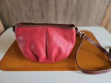 SOMES SADDLE (소메스사돌) 숄더백 레드