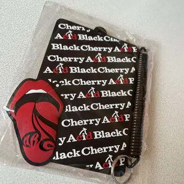 Acid Black Cherry 패스 케이스
