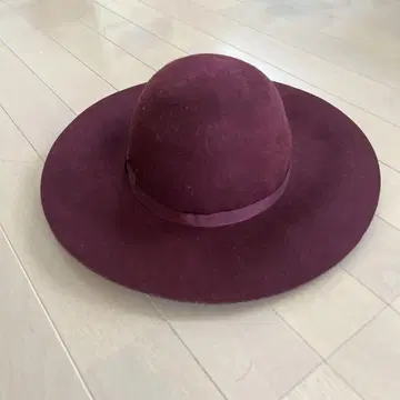 여배우 모자 울 햇