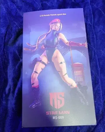 스트리트 파이터 캐미 피규어