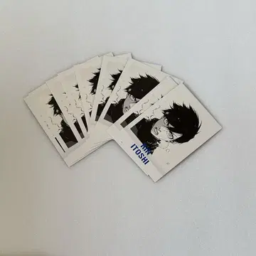 파샤코레 린 15번 9장
