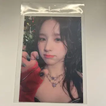 artms 희진 Dall 쇼케이스 응모 특전 라키드로우