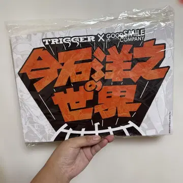 TRIGGER 이마이시 히로유키의 세계 도록