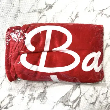 BALLISTIK BOYZ 담요