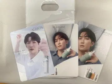 와타나베 쇼타 알비온 책자