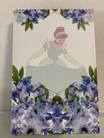 신데렐라 캔버스