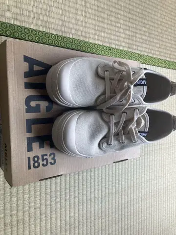 AIGLE 테네레 캔버스 로우 사이즈 41