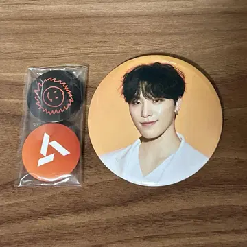SEVENTEEN be the sun 캔뱃지 디노