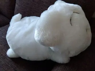 짱구는 못말려 흰둥이 BIG 보들보들 봉제 인형