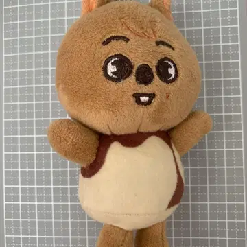 스키즈 한쿼카 백참