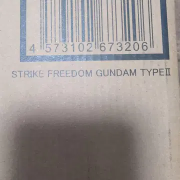 STRIKE FREEDOM GUNDAM TYPE II