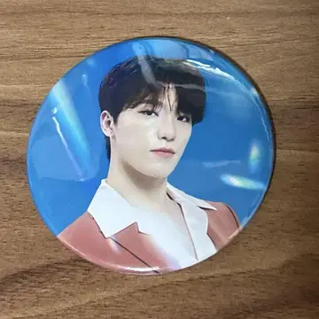 SEVENTEEN be the sun 캔뱃지 디노