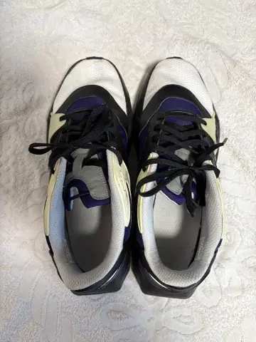 Reebok 프리시즌 .01