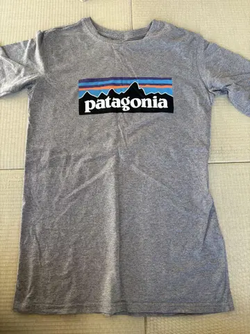 patagonia 그레이 티셔츠