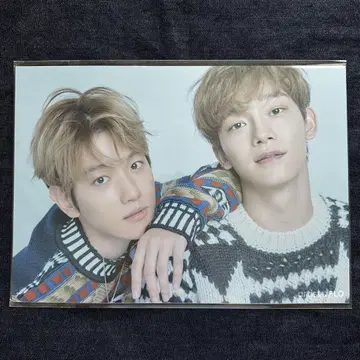 EXO 백현 첸 artist & FLO A4 포스터