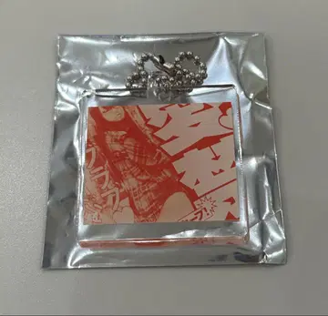 Oh my pumpkin AKB48 투어 CD 구매 혜택 아크릴 키링