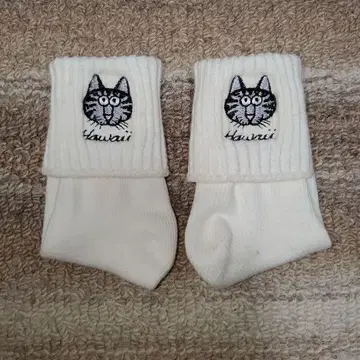 미사용 고양이 얼굴 하와이 크리반 캣 크레이지 삭스