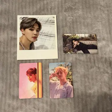 BTS 지민 트레카