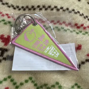 UNISON SQUARE GARDEN 아오모리가 극에 달하다 키링