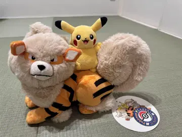 오키나와 한정판 피카츄 윈디 봉제 인형