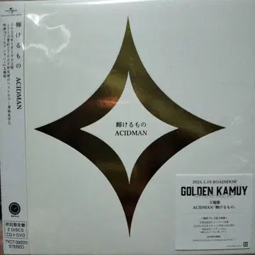 빛나는 것/ACIDMAN