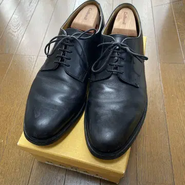 REGAL 스트레이트 팁 JH21 AL