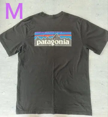 Patagonia 남성용 P-6 로고 레스폰시빌리티 티셔츠
