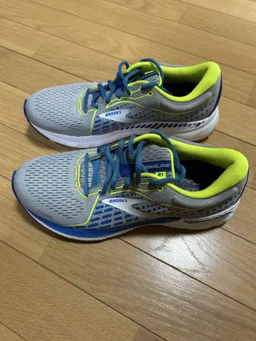 Brooks Adrenaline GTS 21 러닝화