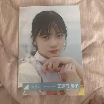 바닷바람과 어리광 쇼겐지 요코 브로마이드 요리