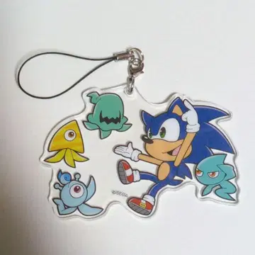 초코카와 트윈 아크릴 스트랩 컬러즈 SONIC 소닉 위스프