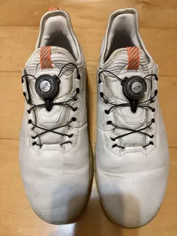 ECCO GORE-TEX 골프화 BOA
