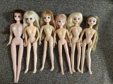 리카 인형 6개 세트