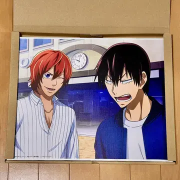 겁쟁이 페달 아라키타 야스토모 신카이 하야토