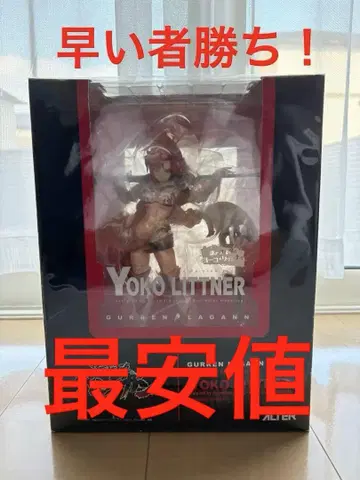 수수께끼 현상금 사냥꾼 요코 리트너