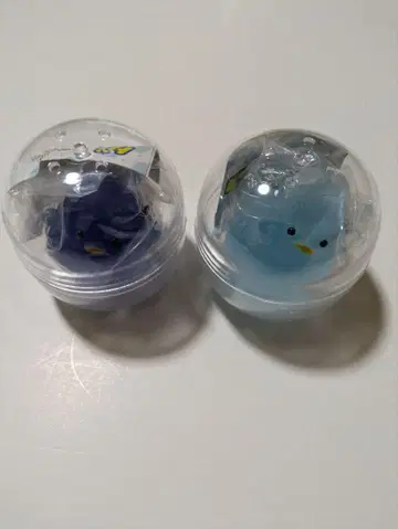 젤삐요 오션블루, 딥 블루 2개 세트 Taica