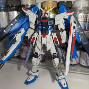 RG 프리덤 건담