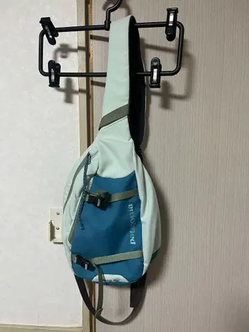 Patagonia Atom 8L 바디백