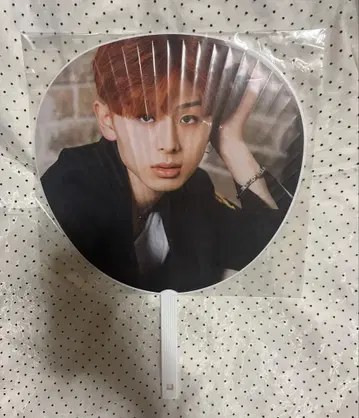 야마시타 에이쿠 EIKU 부채 에비라이 2021