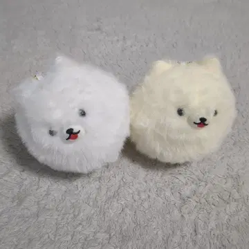 꼬리 붕붕 포메라니안