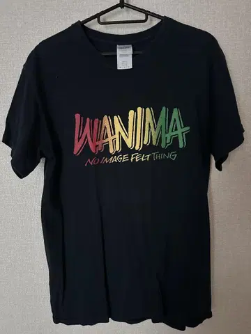 WANIMA 티셔츠 M 사이즈 GILDAN